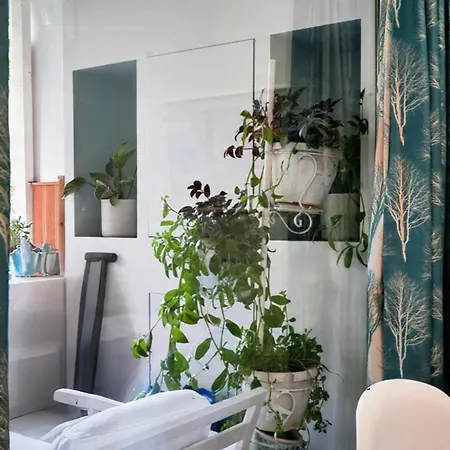 Ivy Lalzi Bay House