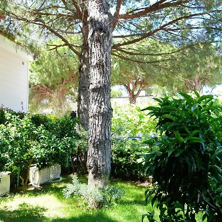 Ivy Lalzi Bay House Vakantiehuis *