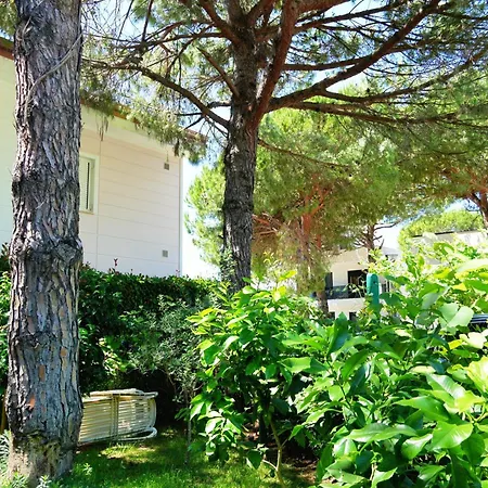 Ivy Lalzi Bay House